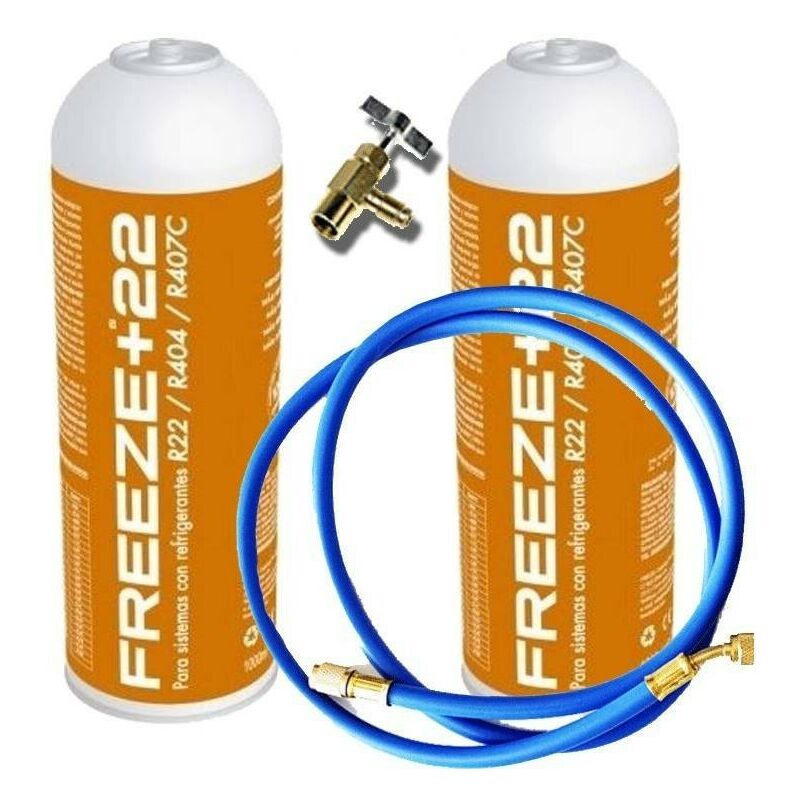 2 Freeze + 22gr Freeze Ecological Gas Ecological Bottles