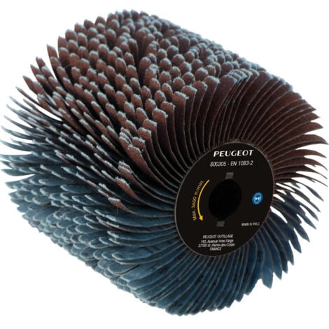 2 brosses pour rénovateur à lanières abrasives grain 40 D. 120 mm L. 100 mm - Ponçage