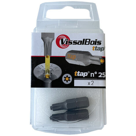 2 embouts TTAP n°25 acier - Vissal