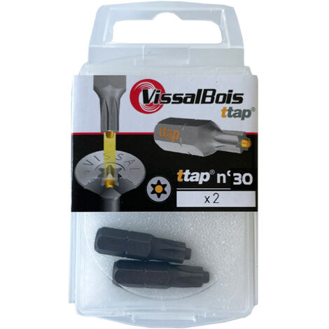 2 embouts TTAP n°30 acier - Vissal
