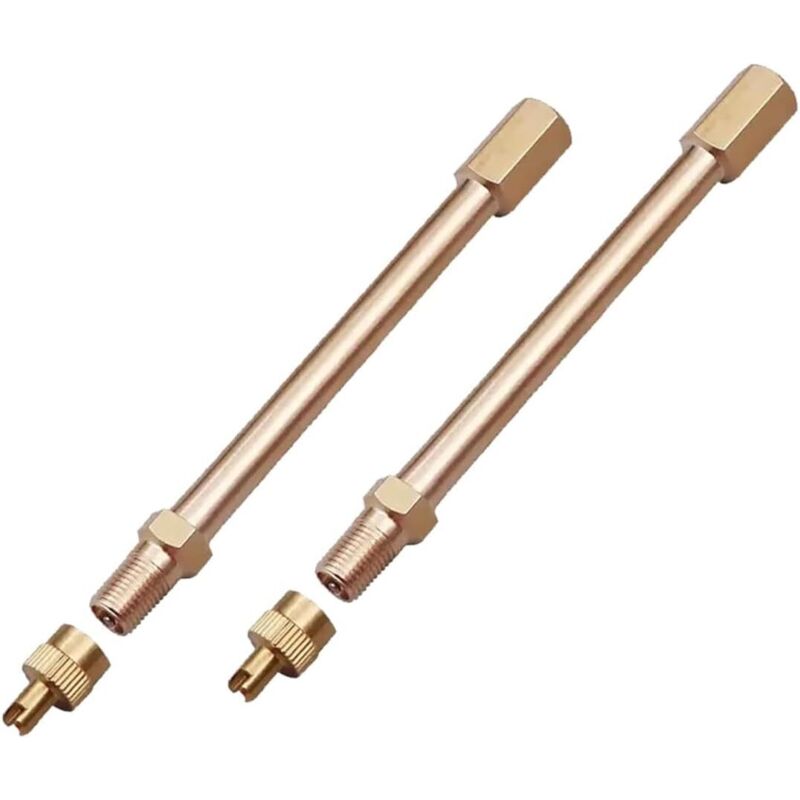 2 extensiones de válvula de neumático con válvula antirretorno, 10 cm, para neumáticos de coche, scooter, camión y bicicleta.