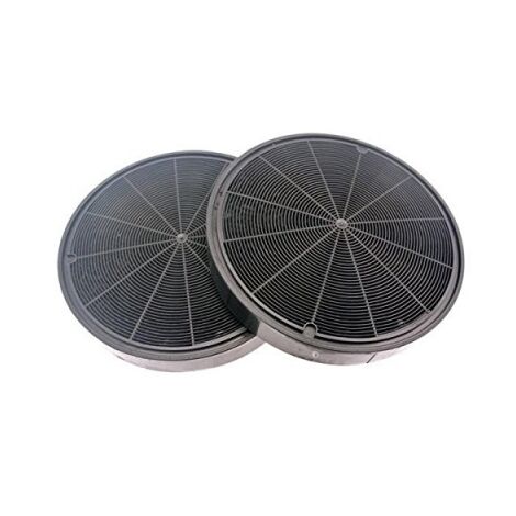 2 filtros de carbón WPRO tipo F196 / FAC529