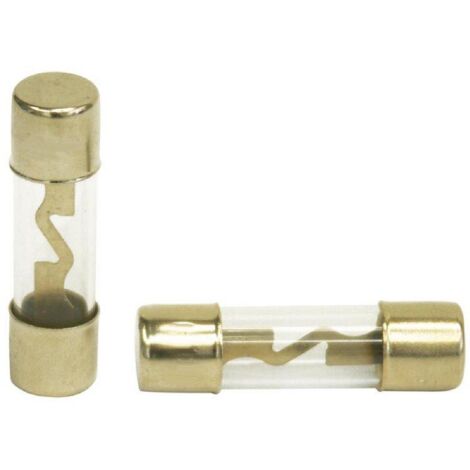 2 Fusibles AGU 30A or c2
