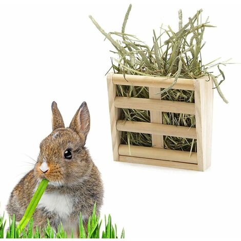 2 in 1 Small Animal Feeder and Hay Rack, Anti-bite Plastic Hay Rack for Rabbits Chinchillas Fat Guinea Pig Hamster