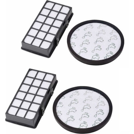 2 Kits de Filtres pour Aspirateurs Rowenta XTrem Power Cyclonic RO69XX - Pièces de Rechange de Haute Qualité