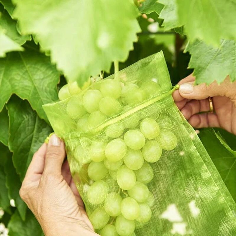 100 pièces Sac de protection de Raisin, taille: 20 x 30 cm, couleur: vert, avec cordon, donne protection totale contre les guêpes, les oiseaux,