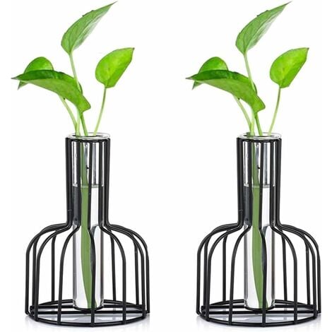 Ornement Vase En Verre Tube À Essai 1 Pièce Plante - Temu France