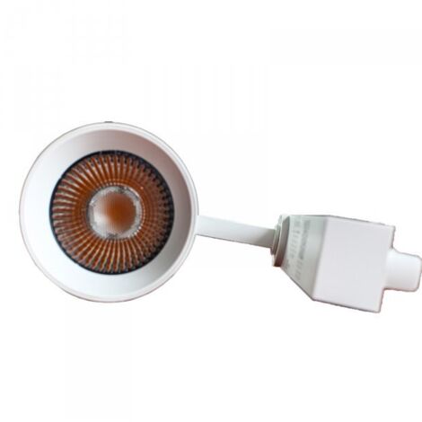 2 Pezzi Faro Bianco Mono Fase 30W 4000K
