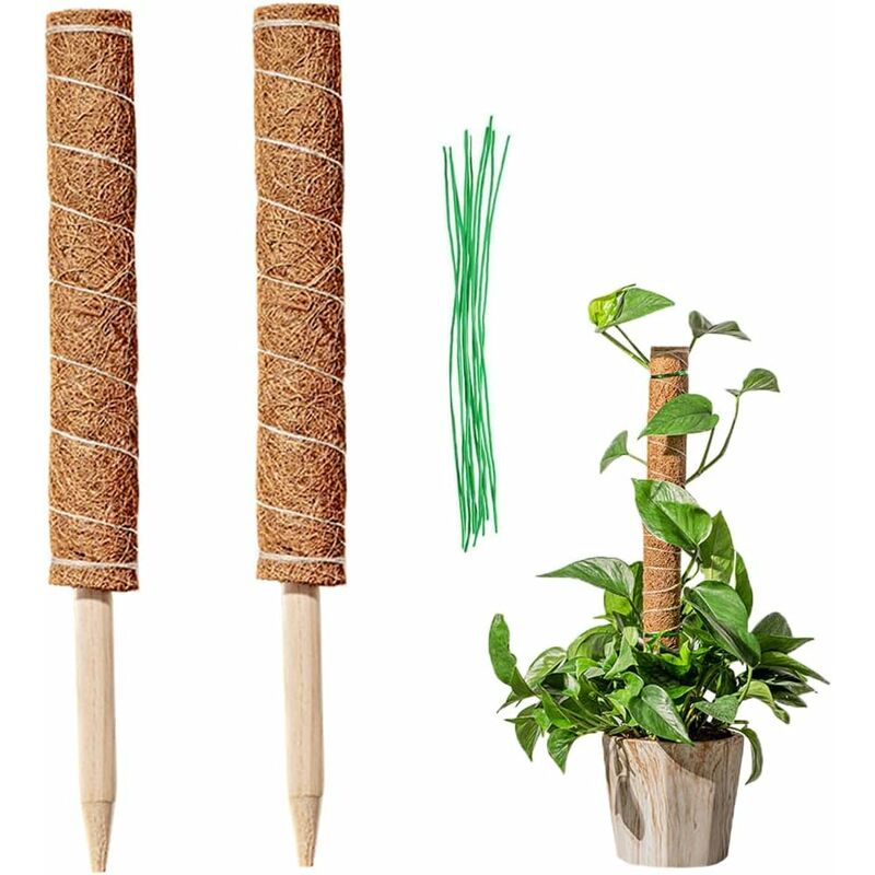 Echoo - 2 Pièces Tuteur Coco, Tuteur Plante Coco, Tuteur Plante Grimpante, Poteau De Coco Bâton De Coco pour La Maison Jardin Plante Grimpantes