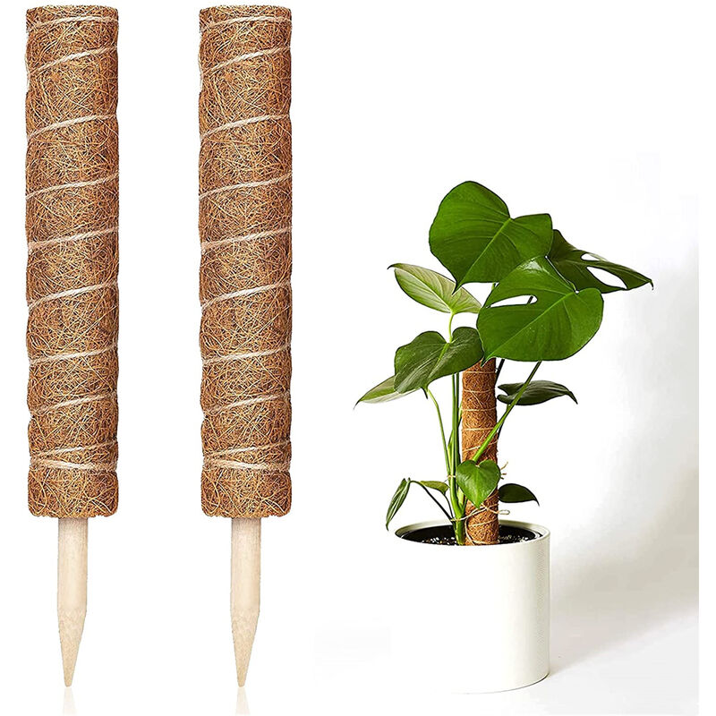 Petites Ecrevisses - 2 Pièces Tuteur Plante Grimpante 30cm Tuteur Coco pour Plante Support de Plante pour Maison Jardin