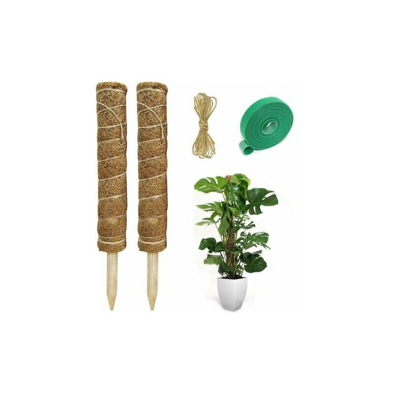 Tuteur pour végétaux 2 Pièces Tuteur Plante Support Plante Grimpante Tuteur Coco pour Plante Monstera Maison Jardin avec 1 Rouleau Serre Câbles et 2m