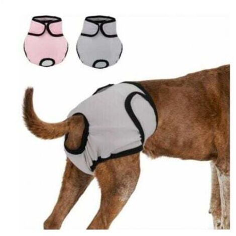 2 Pièces 37-55CM Couche Réutilisable Pour Chien, Culotte Physiologique, Culotte Hygiénique, Lavable, Short Absorbant - Type -LPour les animaux de compagnie