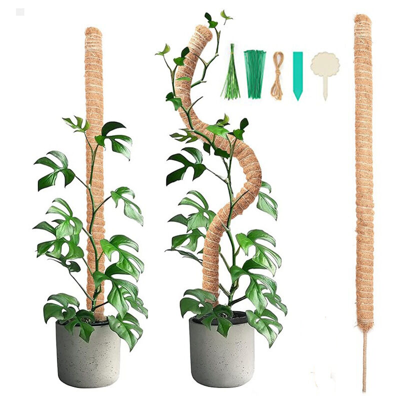2 pièces 90CM bâton de mousse pliable avec 2 pièces de 2M de long corde de chanvre, bâton de noix de coco pour plantes, aides à l'escalade pour