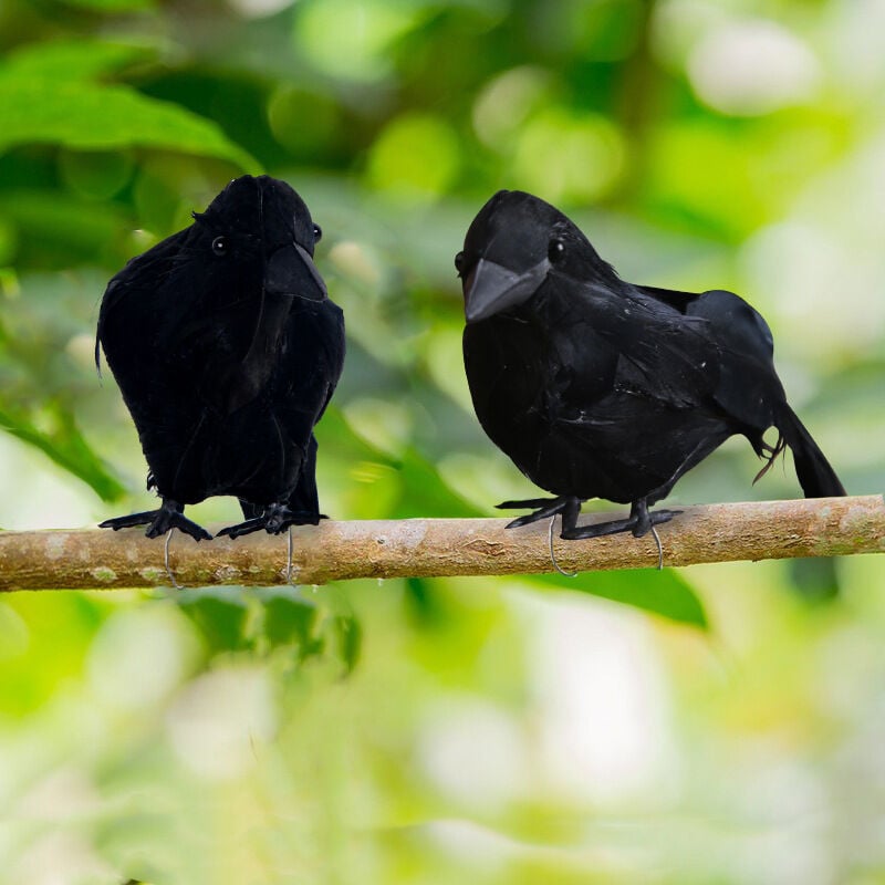 Ensoleille - 2 pièces d'Halloween simulé plume corbeau décoration de bureau noir corbeau photographie accessoires pastorale oiseau repoussant les