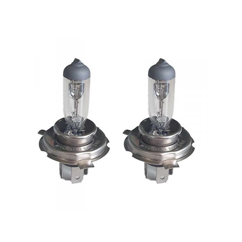 Carall - 2 pz Lampada Alogena Auto H19 12V 60/55W