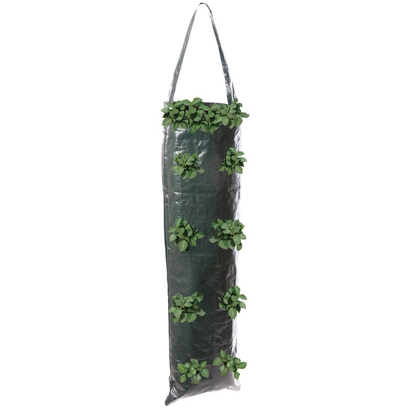 2 sacs de culture à suspendre 700 x 220 mm Silverline 264904