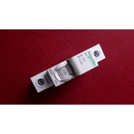 2 Schneider A9S65140 1P 40A , 40 AMP Single Pole SWITCH