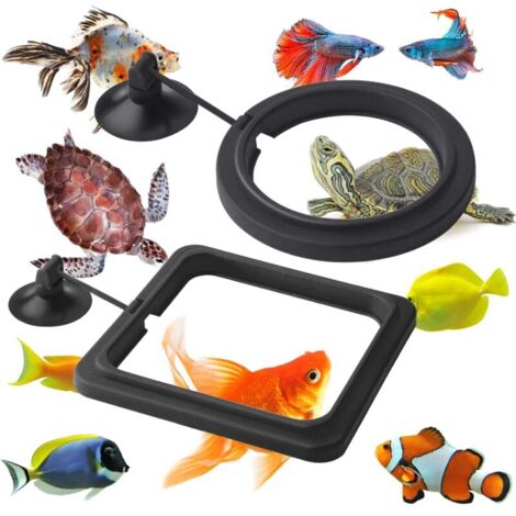 2-teiliger Fischfutterspender für Aquarienzubehör, Schildkrötenfutterspender-Kreis für Gu