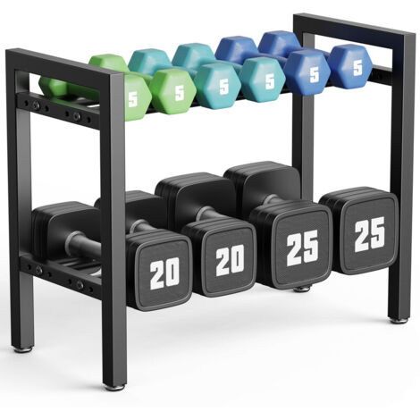 2-Tier Dumbbell Rack, 19 Inch Adjustable Width, 250LB Capacity Weight Storage Rack for Dumbbells & Kettlebells, Ideal for Home Gym