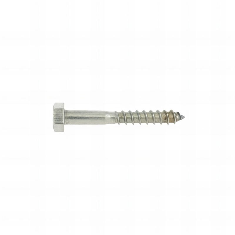 Rotofor - 2 Vis Bois tête hexagonale DIN571 inox A2 8.0 x 80