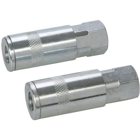 2 x Bajonett Druckluftkupplungen 1/4 Zoll BSP