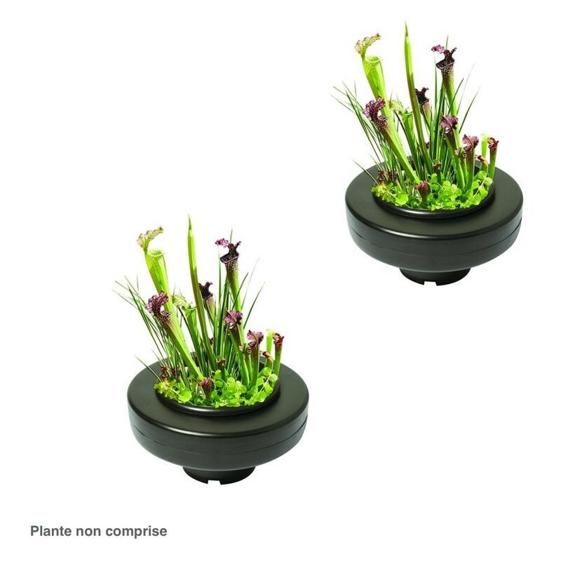 Le Poisson Qui Jardine - 2 Paniers flottants 30 cm de diamètre pour plantes de bassins de jardin et étangs