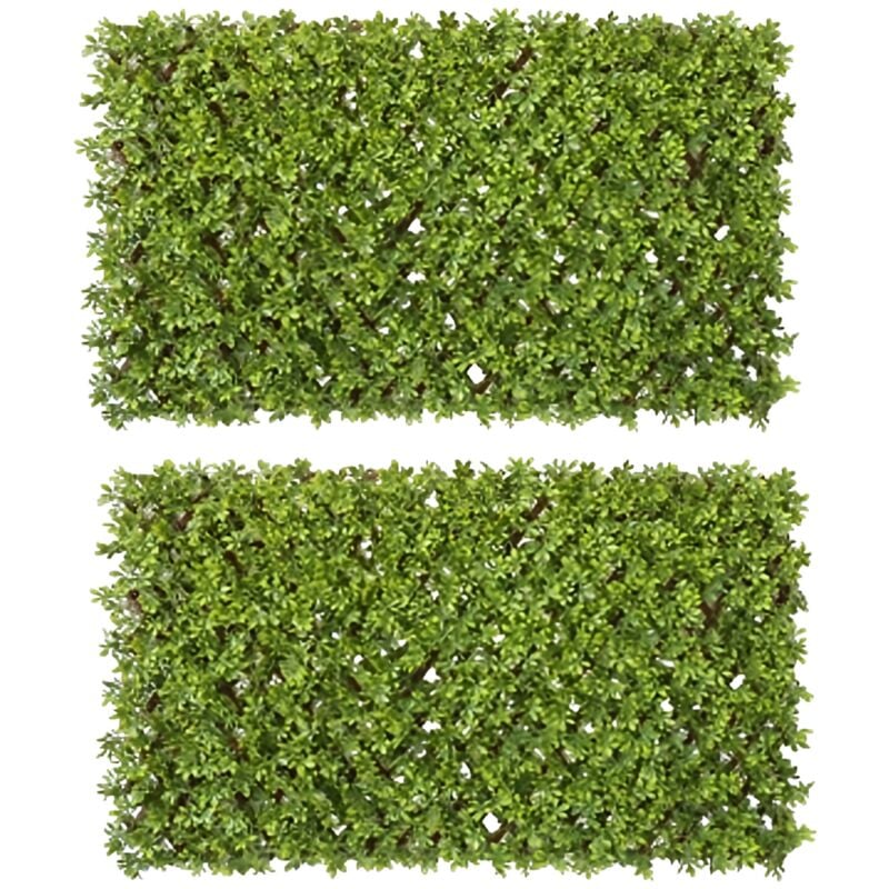 Haie Artificielle 100x200 cm en Buis - 2 Pièces avec Clôture Extensible