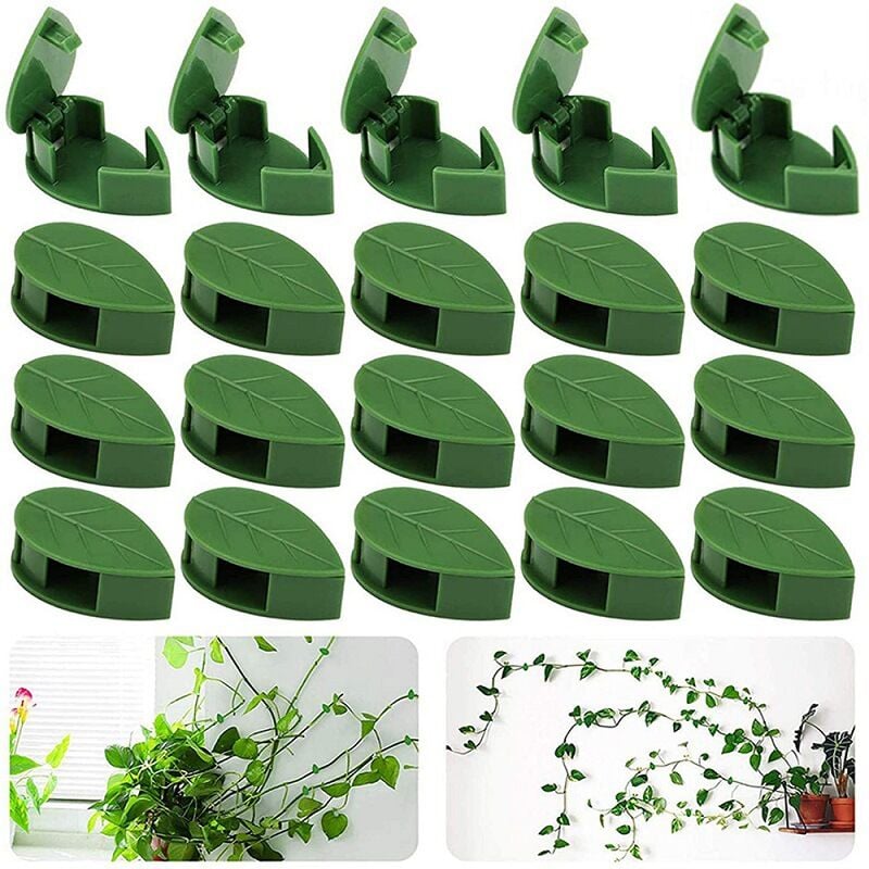 20 clips de fixation de vigne grimpante pothos en forme de feuille, support de plante, clip de croissance de plantes, clip auto-adhésif pour mur