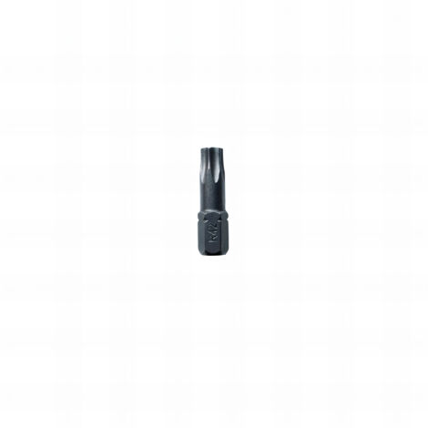 20 embouts forge torx longueur : 25 - TX40
