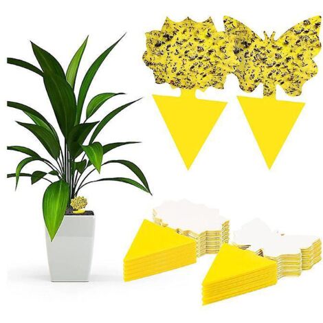 20 Jaune Anti Mouche Piges Englues Autocollants Pour Moustiques, Attrape Insecte Interieur Exterieur Pour Plante, Fleur& Fruits Tournesol Papillon