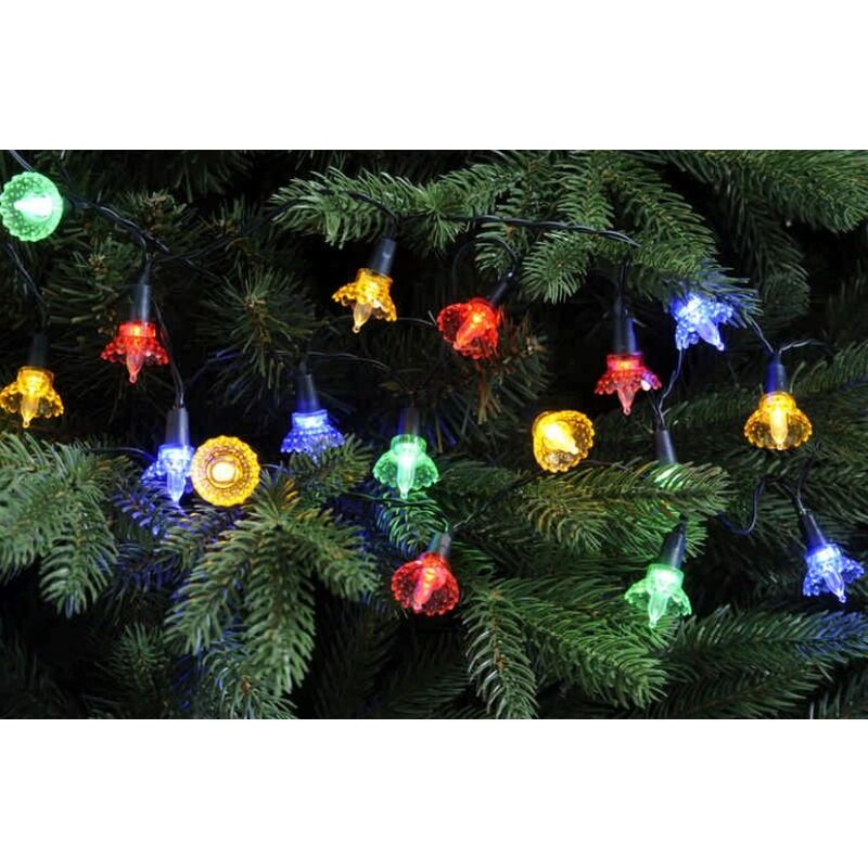 Image of 20 Multi Colour Timer Traditional Flower&hellip;