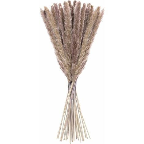 20 pcs Pampas Grass, 60cm Natural Pampas Flower Dried Flower Bouquet for Vases, Boho Decoration Bedroom Home Living Room, Wedding Photographing Table Decoration, Natural Pampas Grass Reeds