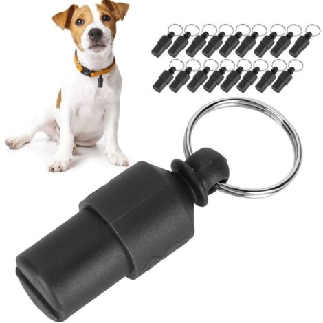 20 pièces étiquette d'identification de Chien Mini étiquette de Tube Anti-Perte d'animal familier étanche en Plastique ID étiquettes de nom Chiens Collier pendentifs étiquette(Noir)