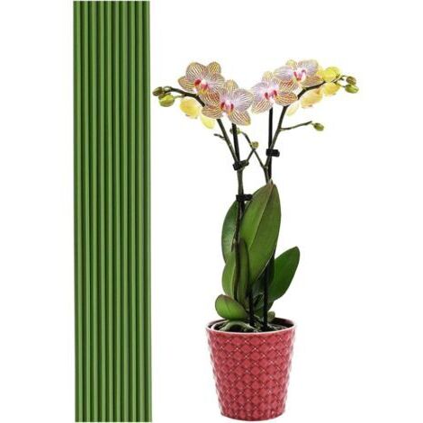 20 Stück Pflanzenstützstäbe für Grünpflanzen 40 cm - Für Garten, Haus, Gartenarbeit, Herstellung von Stativen