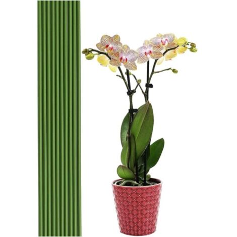 20 tiges de support pour plantes vertes de 40 cm - Pour jardin, maison, jardinage, fabrication de trépieds