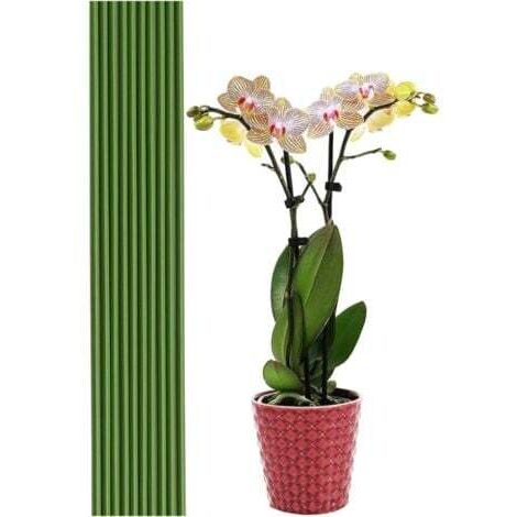 20 tiges de support pour plantes vertes de 40 cm - Pour jardin, maison, jardinage, fabrication de trépieds