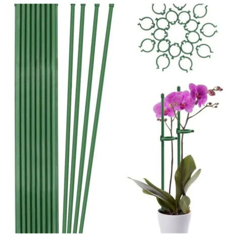 20 tuteurs pour plantes btonnets verts pour plantes H