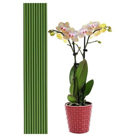 20 varillas de soporte para plantas verdes de 40 cm para jardinería doméstica y fabricación de trípodes.