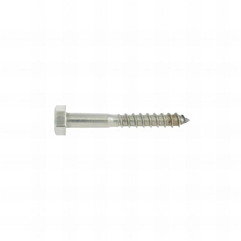 20 Vis Bois tête hexagonale DIN571 inox A2 - Diamètre 8 mm x 120 mm en boîte