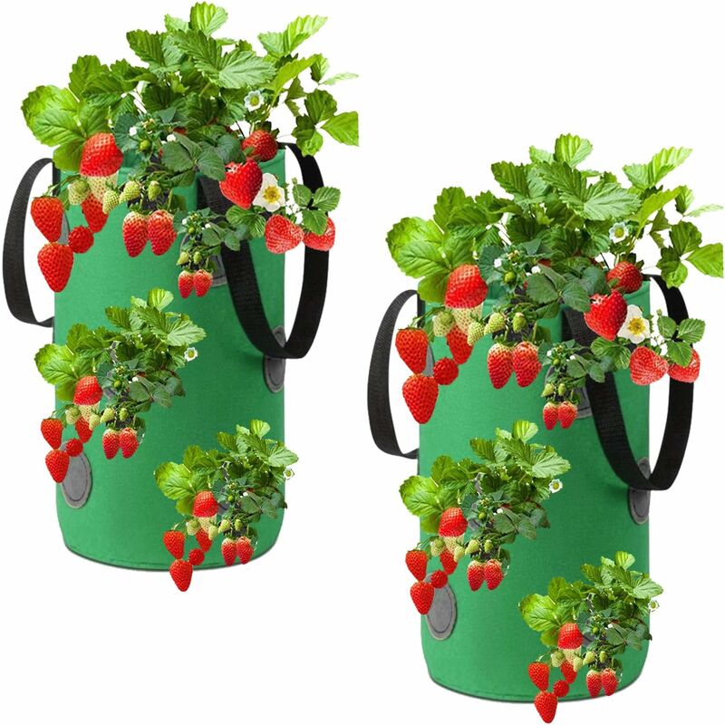 20 x 35 cm) (vert)Lot de 2 sacs de culture pour fraises à suspendre en tissu non tissé avec 12 trous, sacs de culture pour fraises, herbes, fleurs