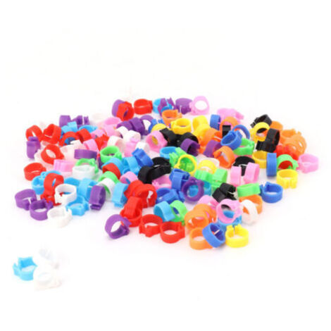 200 Bagues de Patte Colorées pour Pigeons 8mm, Anneaux d'Identification pour Pattes de Pigeon sans Texte, Lot de 200 Pièces