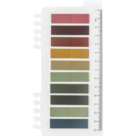 200 mehrfarbige PET-Klebe-Seitenmarker – Seitenmarker mit Lineal, 15,7 x 8,9 cm