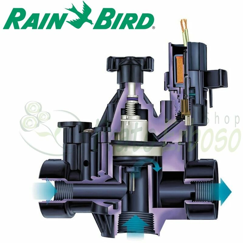 

Rain Bird - 200-PGA-9V - válvula de Solenoide de 2'
