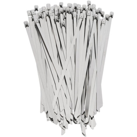 200 Pièces Attache Câble Acier Inoxydable 4.6mm Largeur Collier Serrage Autobloquant pour Fils et Tuyaux