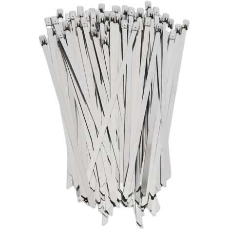 200 Pièces Collier de Serrage Autobloquant en Acier Inoxydable 4.6mm pour Câbles et Tuyaux