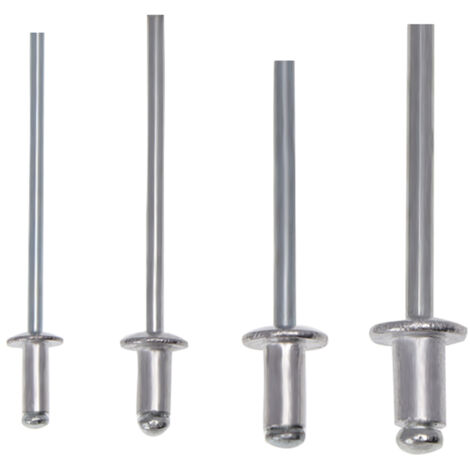 200 pièces ensemble de riveteuses robustes main 2.4/3.2/4.0/4.8mm Kit de rivets g-un outil d'assortiment de Rivets en aluminium pour véhicule en cuir métallique p-lastic