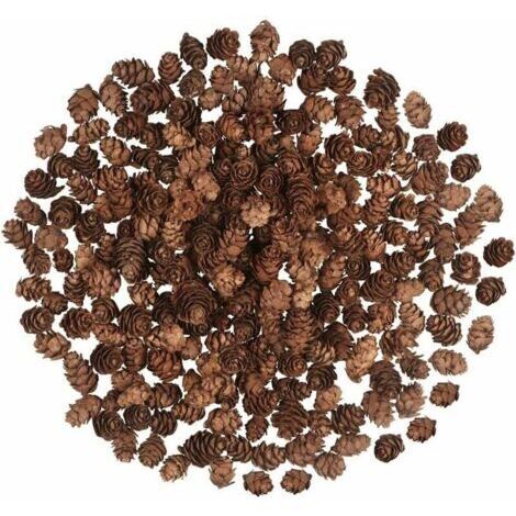 200 Pièces Pommes De Pin De Noël, Mini Pommes De Pin Naturelles Pommes De Pin De Thanksgiving Pommes De Pin De Noël Ornements pour La Maison Bricolage Artisanat Arbre De Noël Automne Hiver Décoration