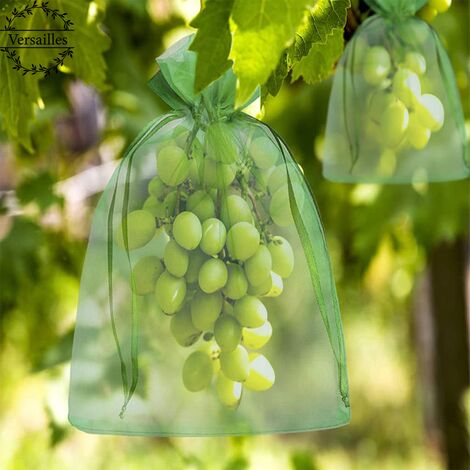 200 Pièces Sac de Protection de Grappes 30x20cm de Raisin Fruits Sac en Organza avec Cordon Donne Protection Totale Contre Les Guêpes Les Oiseaux et Autres Insectes
