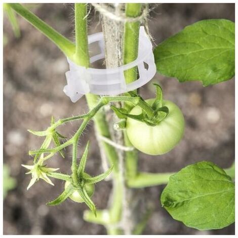 200 pinces à plantes de jardin, clips de support pour plantes, clips en rotin, clips pour tiges de fleurs pour fixer les plantes