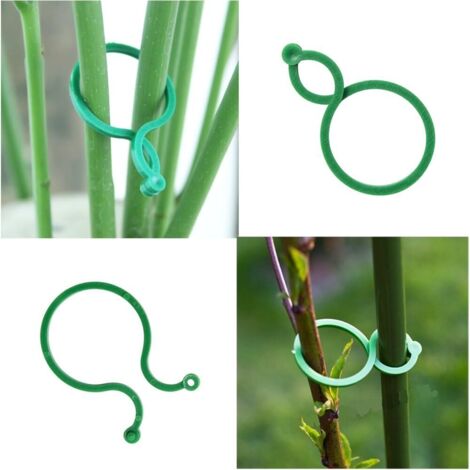200 pinces de jardin (M) pour supports de plantes, anneaux pivotants pour plantes